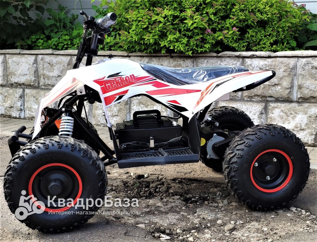 Детский электроквадроцикл Motax Gekkon 1300W